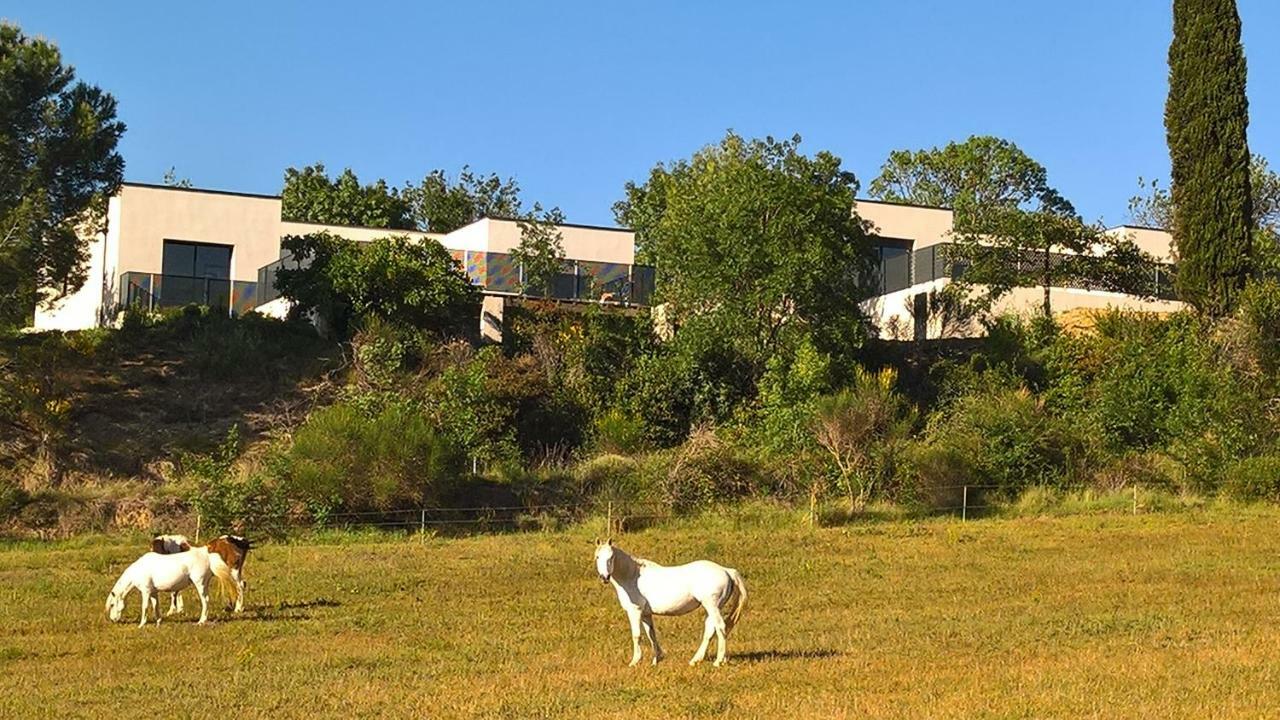 Villa Piscine Sud France Verzeille Exterior foto
